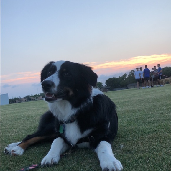 lilliancloud6